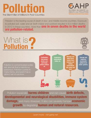 Pollution Infographic