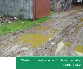 Water contaminated with chromium at a tannery site