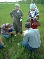 Russia: measurement at Vursa  