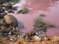 Tannery Pollution