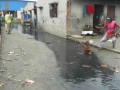 Dye Industry