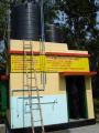 West Bengal, India: Plant